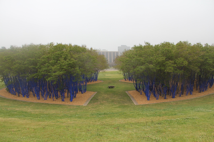 Bluetrees