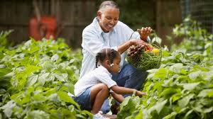 Gardening