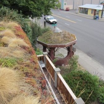 Hawthornehostel Greenroof